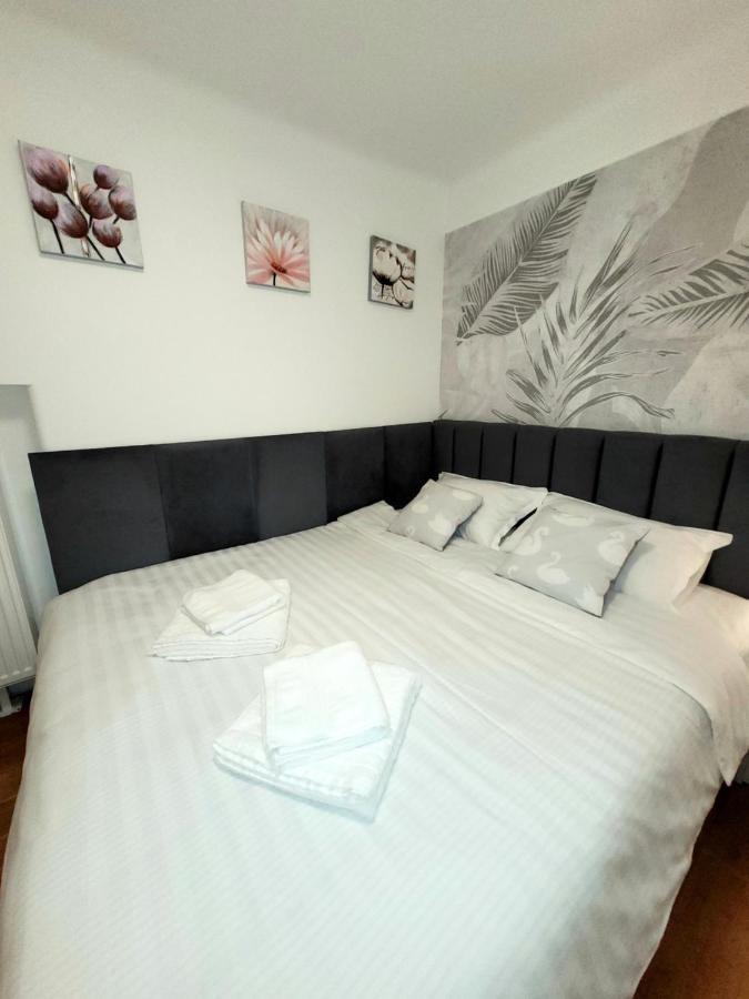 Pacha Residence Timişoara Buitenkant foto