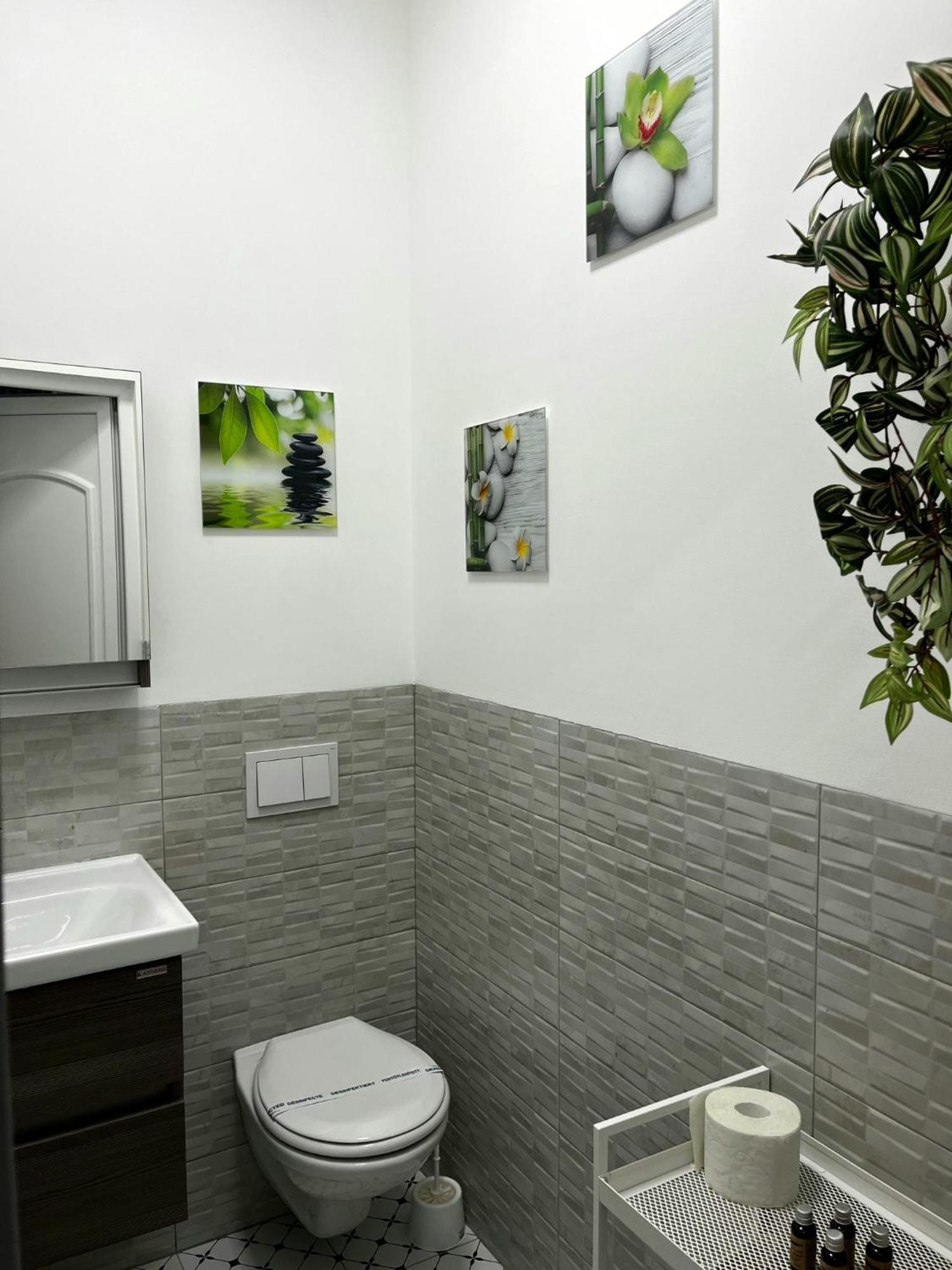 Pacha Residence Timişoara Buitenkant foto